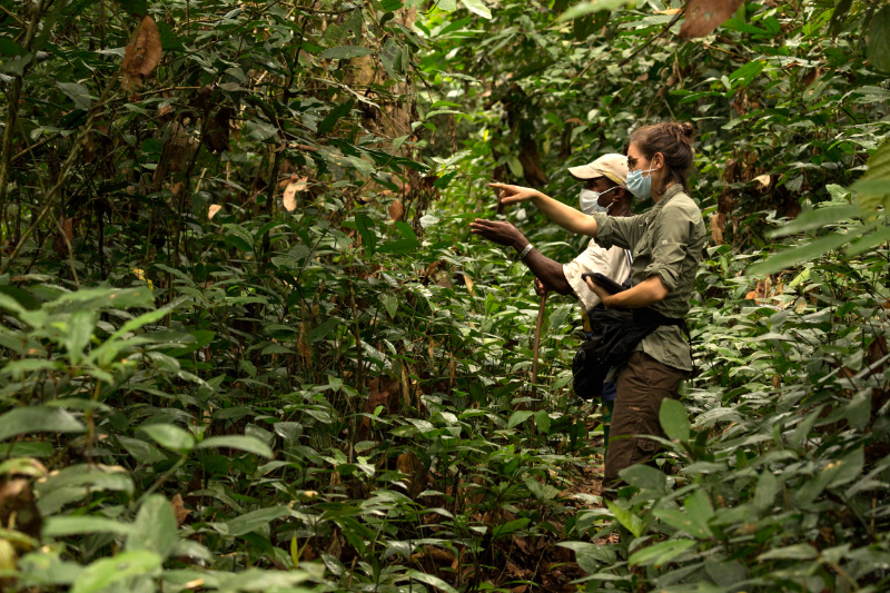Julia Kunz Indonesian rain forest