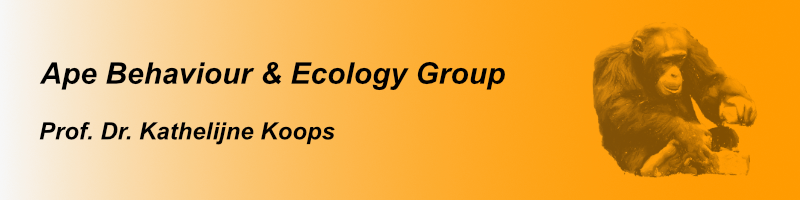 Ape Behaviour & Ecology Group