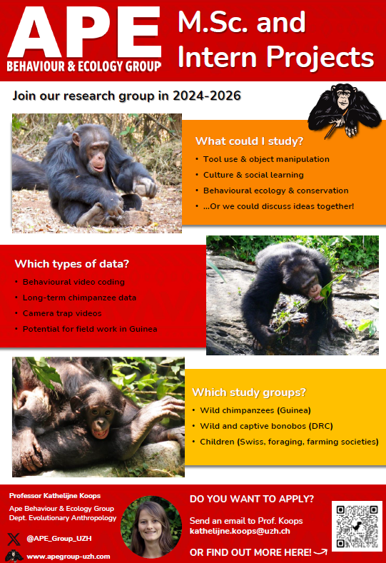Recruitment Poster for MSc and Internship projects in the APE group